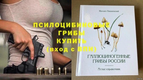 гидропоника Арсеньев