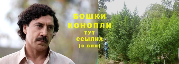 apvp Аркадак