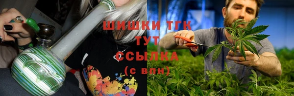apvp Аркадак